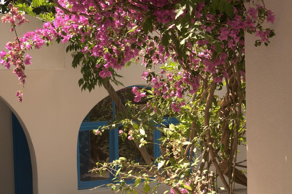 Pasalimani Hotel Çeşme Exterior foto